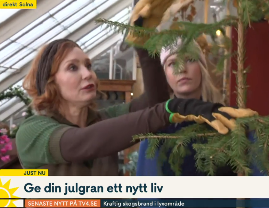 Linda Schilen biologisk mångfald