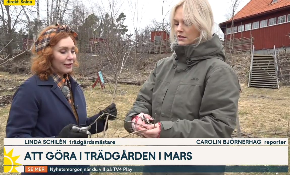 Linda Schilen biologisk mångfald