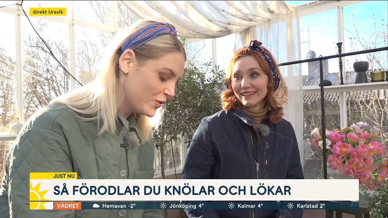 Förolda knölar och lökar Linda Schilen