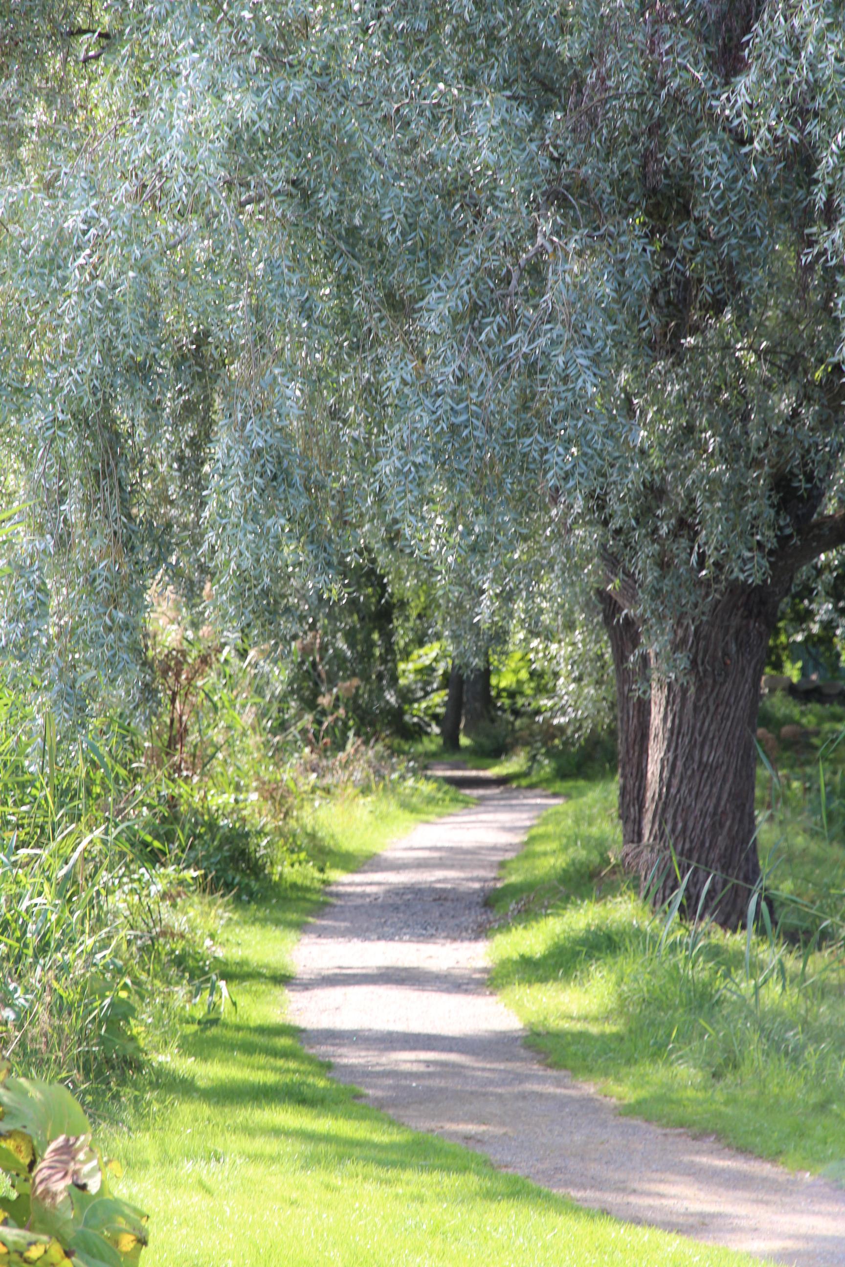 Julkurs på Åsby gård