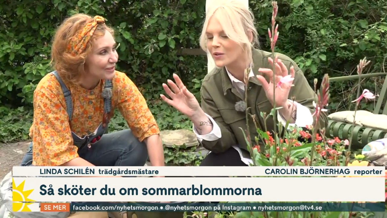 Linda Schilen biologisk mångfald